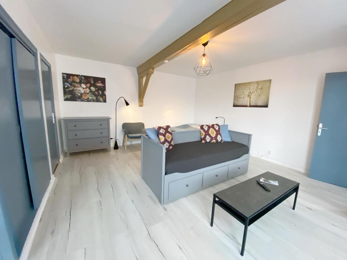 015 Chic & Cosy Studio 41M2 Hypercentre Wifi Smart Tv Netflix Saint-Etienne  Eksteriør bilde