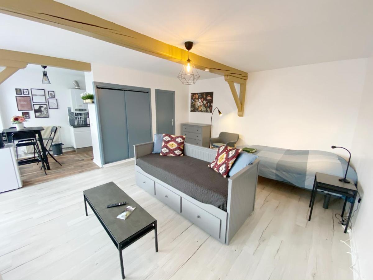 015 Chic & Cosy Studio 41M2 Hypercentre Wifi Smart Tv Netflix Saint-Etienne  Eksteriør bilde