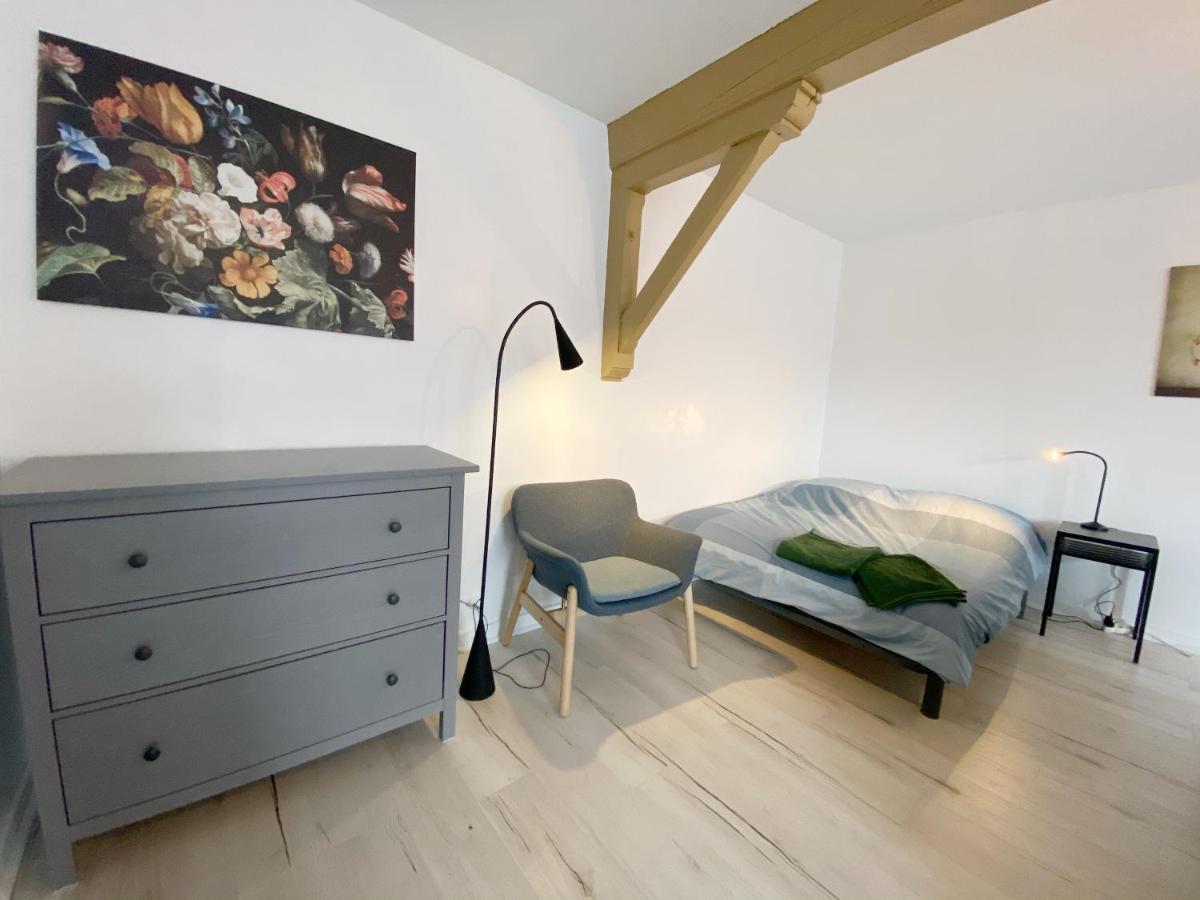 015 Chic & Cosy Studio 41M2 Hypercentre Wifi Smart Tv Netflix Saint-Etienne  Eksteriør bilde