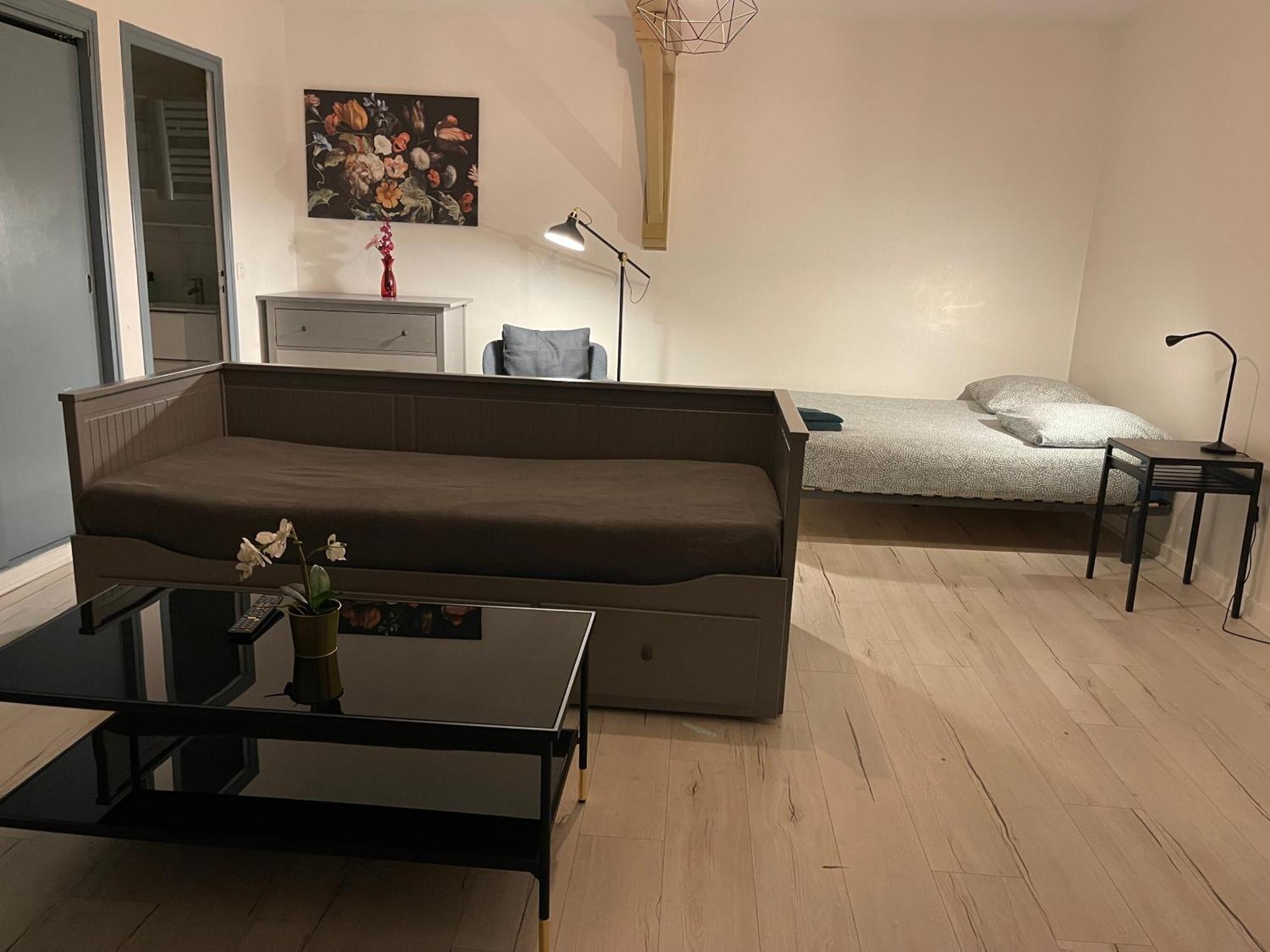 015 Chic & Cosy Studio 41M2 Hypercentre Wifi Smart Tv Netflix Saint-Etienne  Eksteriør bilde